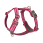 Preview: DOG Copenhagen V3 Comfort Walk Air Wild Rose